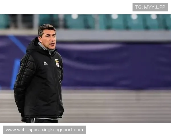 本菲卡准备挑战欧冠淘汰赛