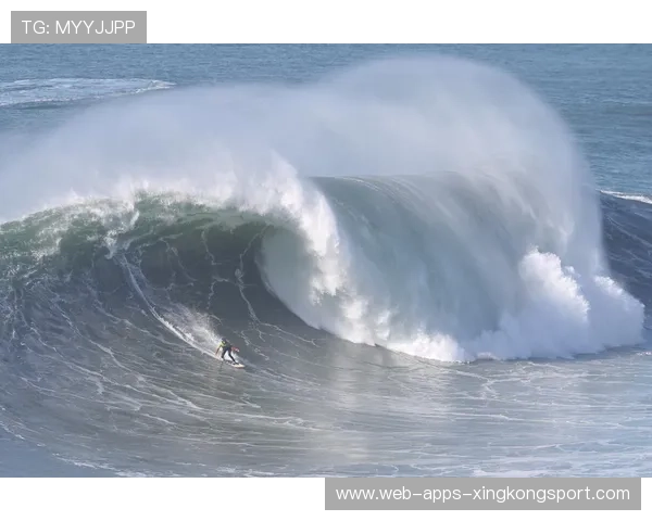 冲浪比赛 15 米巨浪惊险现场